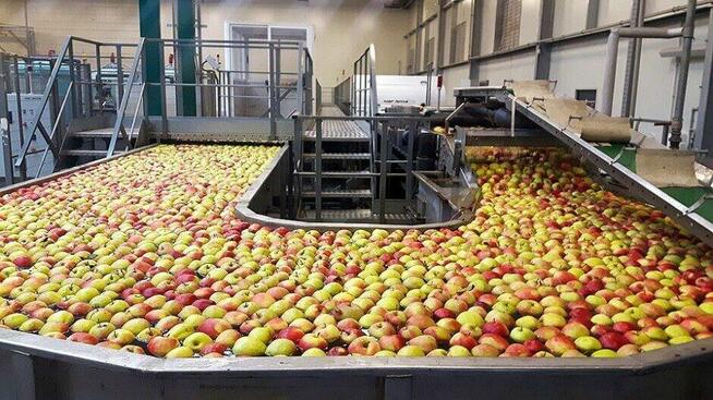 Pracownicy z Ukrainy