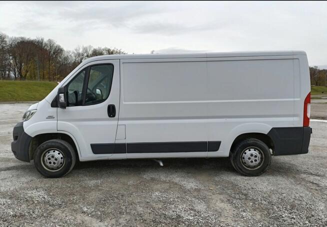 Zlecenia na busa fiat Ducato
