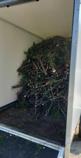 Profesjonalne usługi porządkowe i ogrodnicze Bielsko-Biała