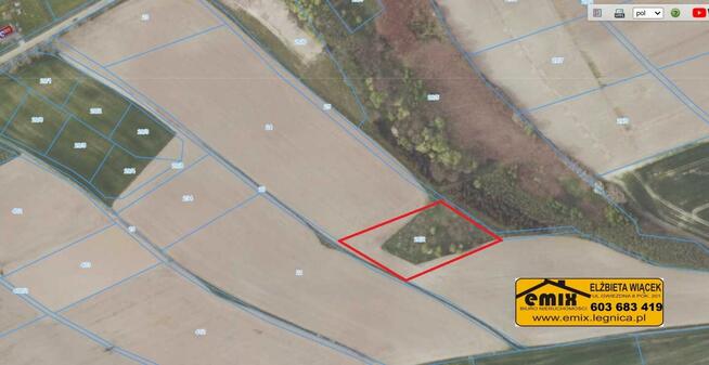 Grunt rolny, działka rolna, pusta, - pow. złotoryjski
