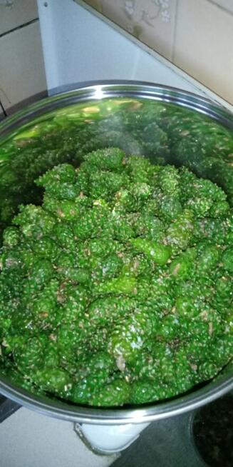 Syrop z Lipy 1.7 litra