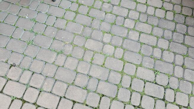 Profesjonalne mycie kostki brukowej