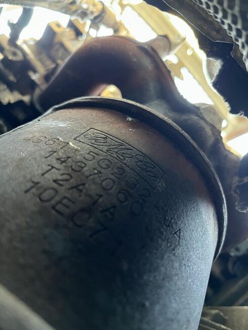 Ford Fusion 1.6 16v 74Kw Wszystkie części!