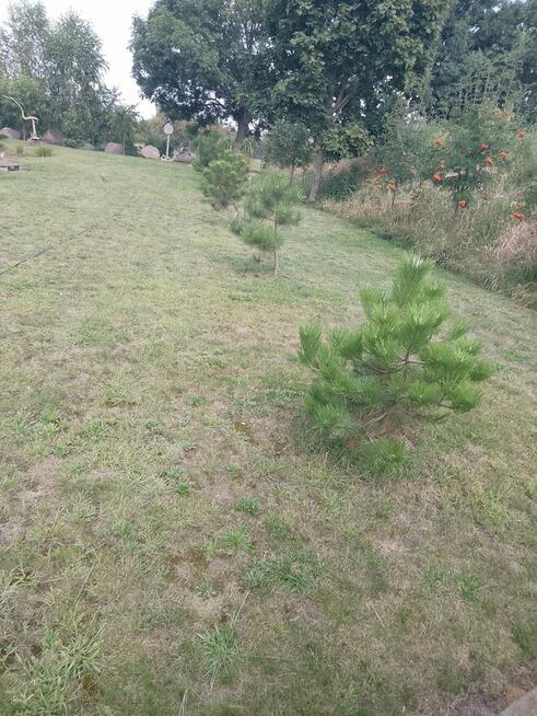 Sprzedam działkę budowlaną ze stawem