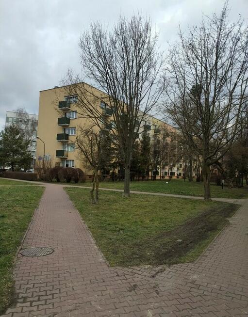 Mieszkanie na sprzedaż 3 pok. Oś. XXX-LECIA