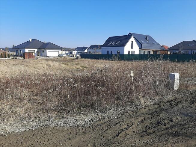 sprzedam działkę, Pawłowice - Ramiszów