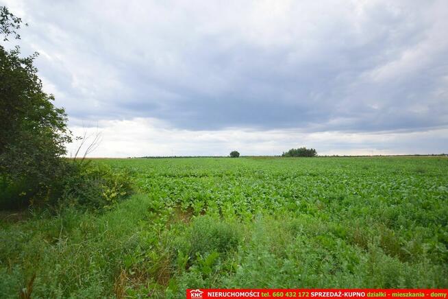 Siedlisko blisko Lublina i 4 ha ziemi.