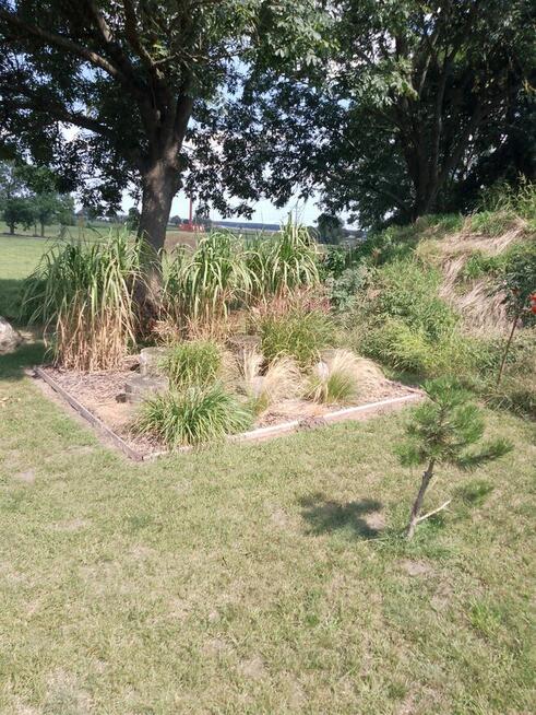 Sprzedam działkę budowlaną ze stawem