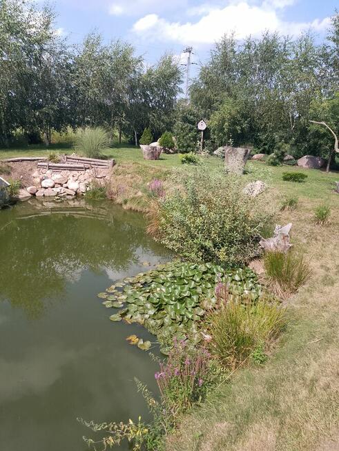 Sprzedam działkę budowlaną ze stawem