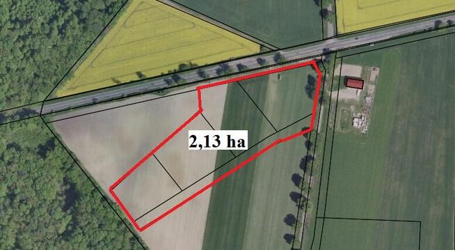 Sprzedam teren inwestycyjny 1,64 ha okolice Torunia