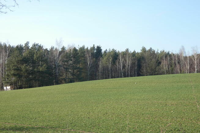 Sprzedam działkę rekreacyjną Żmijewko gmina Zbiczno