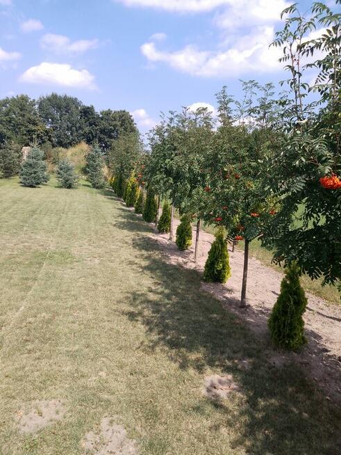 Sprzedam działkę budowlaną ze stawem