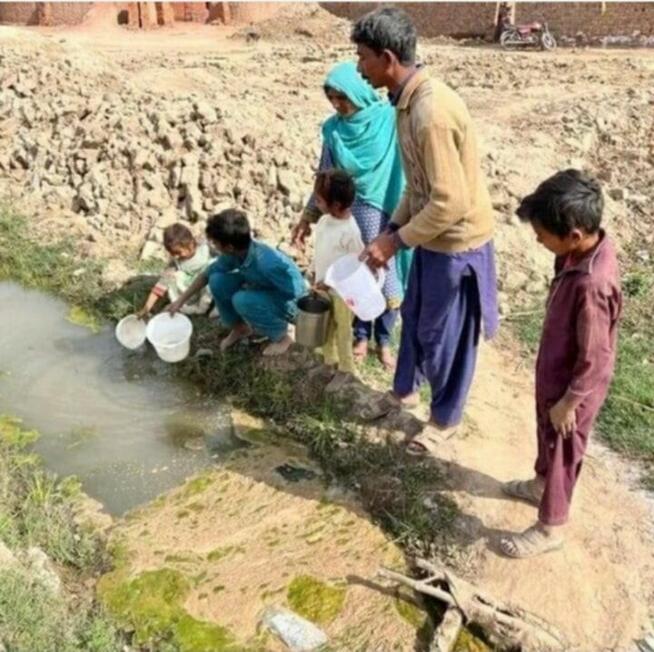 Pomocy! Wsparcie dla biednych opuszczonych dzieci