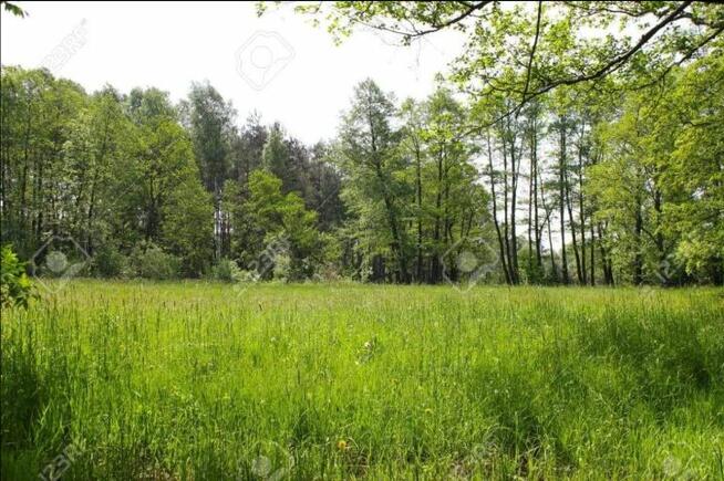 Działka budowlana piękna, duża