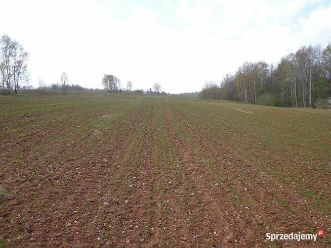 Sprzedam dużą działkę rolną w okolicach Lwówka Śląskiego