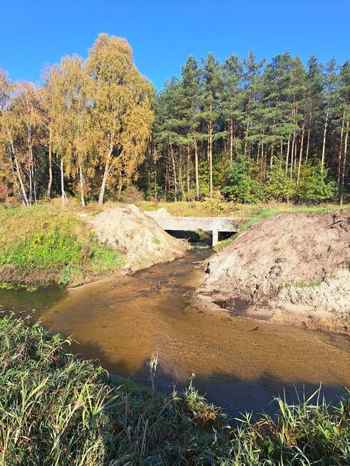 Działka na sprzedaż z domkiem blisko lasu i rzeki Nidy