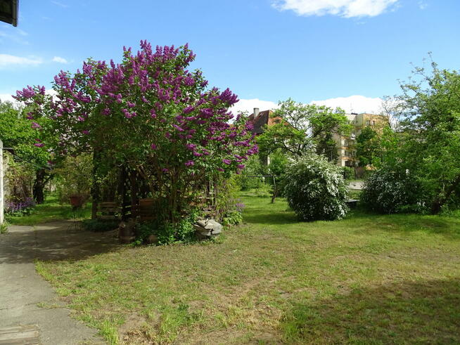 Dom wolnostojący, 14 ar działka, Ścinawa