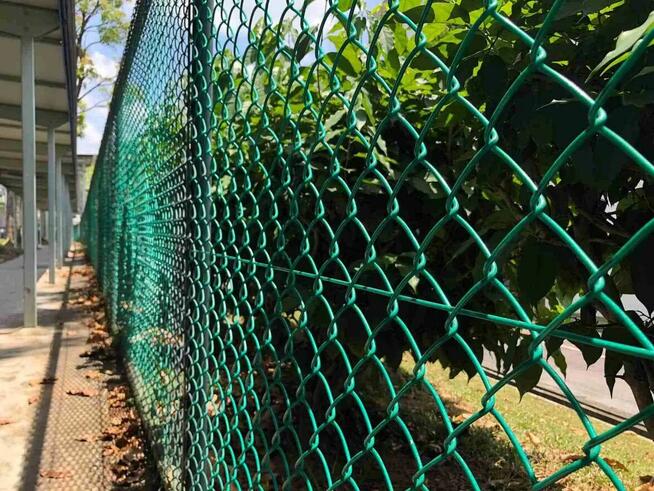 Siatka ocynk+pcv 2/3.1mm wys. 1.5m - 13 zł mb