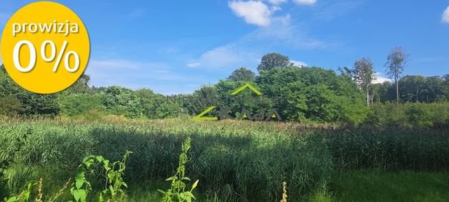 Urokliwie położona działka z lasem i stawem