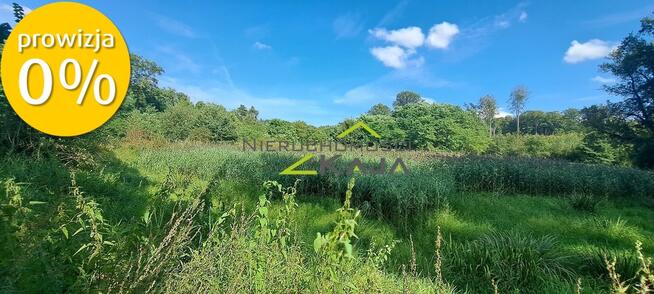 Urokliwie położona działka z lasem i stawem