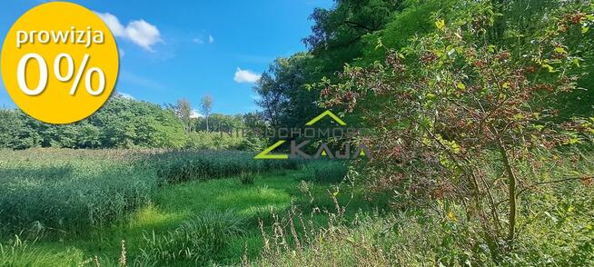 Urokliwie położona działka z lasem i stawem