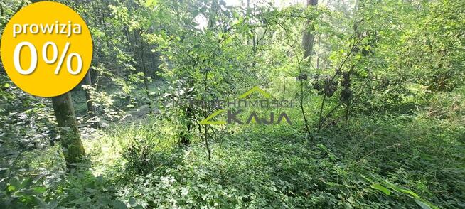 Urokliwie położona działka z lasem i stawem