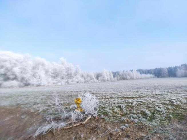 Sprzedam działkę lub zamienię