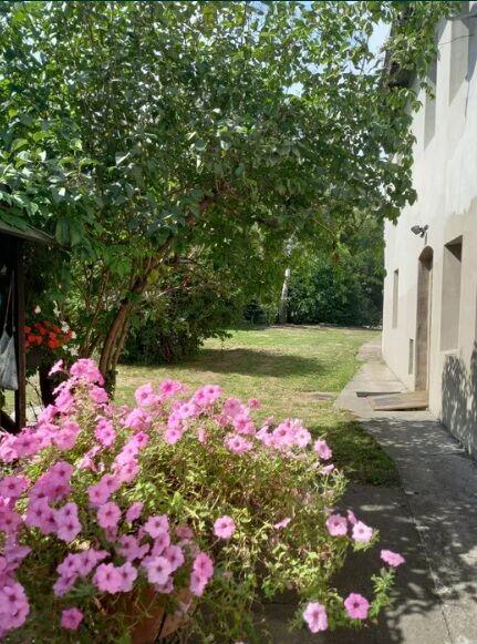 Dom wolnostojący, 14 ar działka, Ścinawa