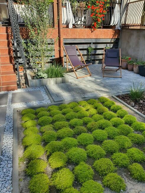 Projektowanie ogrodów