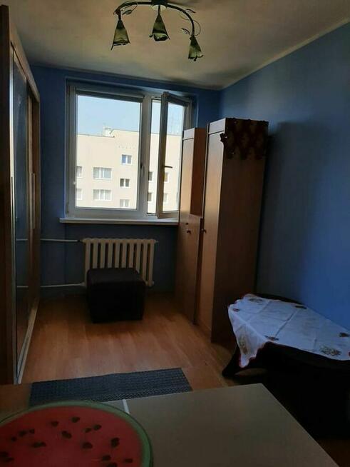 Mieszkanie do wynajęcia