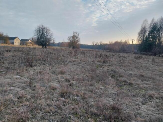 Grunt Rolny na sprzedaż Marysin gm. Kałuszyn