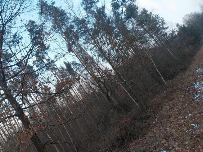 Grunt Rolny na sprzedaż Marysin gm. Kałuszyn