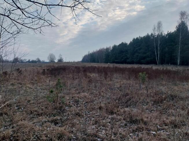 Grunt Rolny na sprzedaż Marysin gm. Kałuszyn