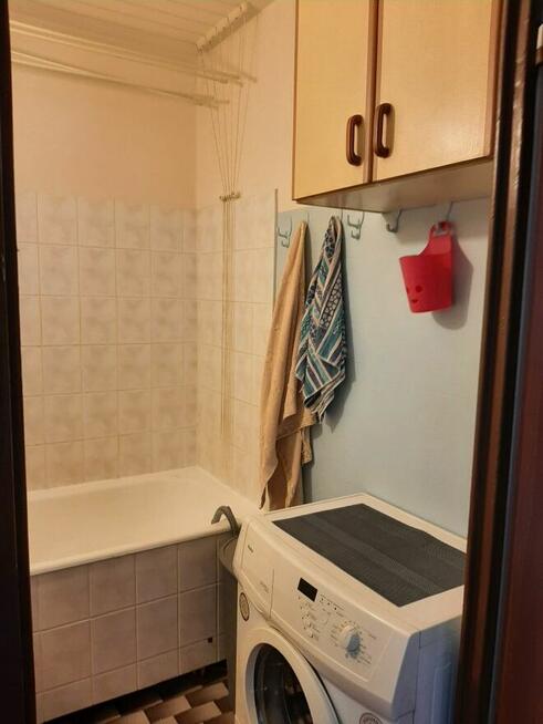 Mieszkanie do wynajęcia