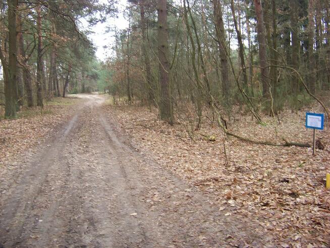 Działka dla miłośników przyrody