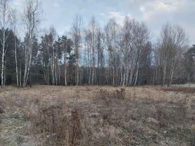 Grunt Rolny na sprzedaż Marysin gm. Kałuszyn