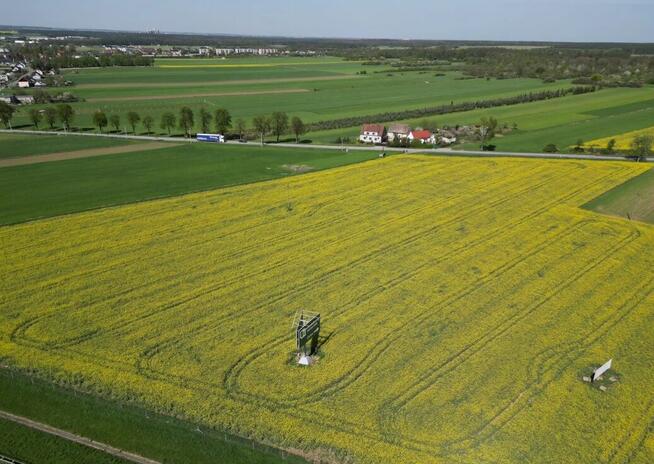 Gogolin - działka przemysłowo-usługowa - przy Obwodnicy Połu