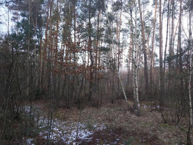 Grunt Rolny na sprzedaż Marysin gm. Kałuszyn