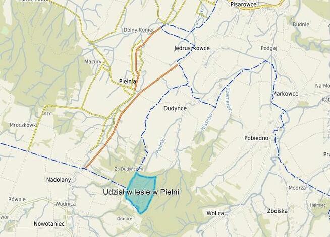 Las - na sprzedaż udział w lesie wynoszący 1,46 ha, Pielnia