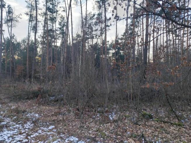 Grunt Rolny na sprzedaż Marysin gm. Kałuszyn