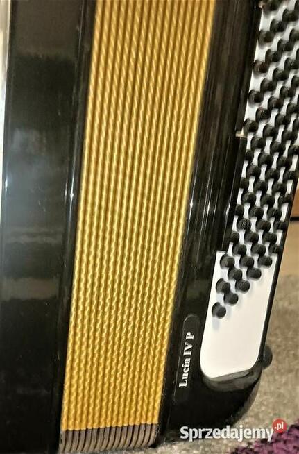 Akordeon Hohner Lucia IV P