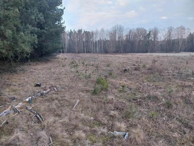 Grunt Rolny na sprzedaż Marysin gm. Kałuszyn