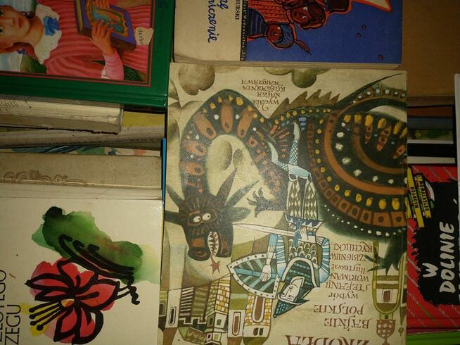 Książki (kilkaset sztuk) z likwidacji domowej biblioteki