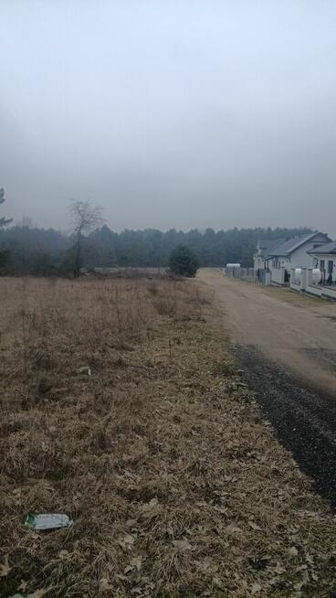 Atrakcyjna działka w pobliżu lasu