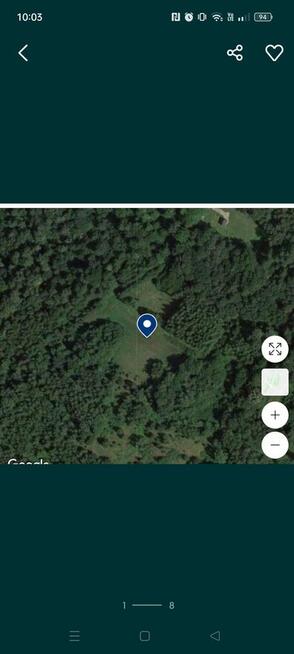 Domek z działką w lesie.