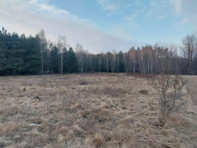 Grunt Rolny na sprzedaż Marysin gm. Kałuszyn