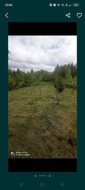 Domek z działką w lesie.