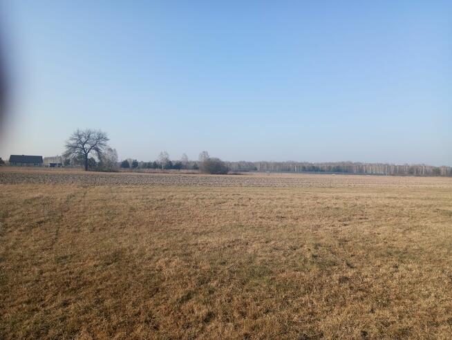 Do wynajęcia działka pow. 1065 m2 1 km od granicy Pilawy