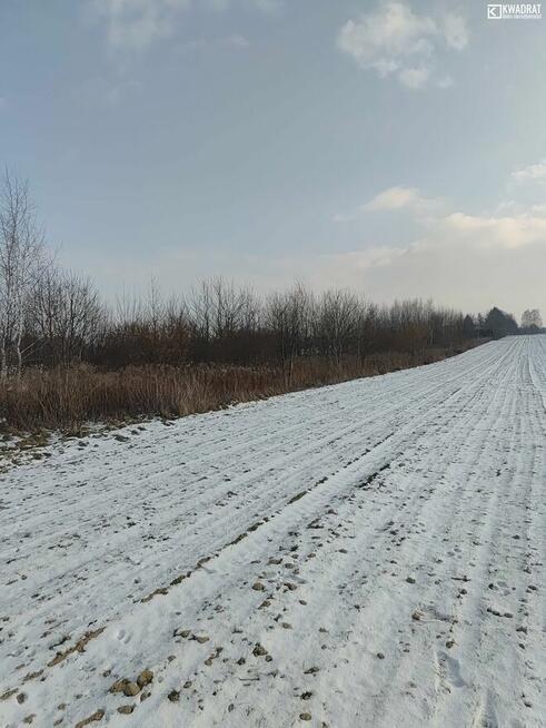 Działka rolna Jakubowice Końińskie-Kolonia gm. Niemce