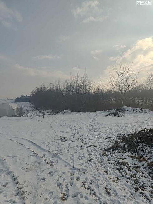 Działka rolna Jakubowice Końińskie-Kolonia gm. Niemce